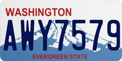 WA license plate AWY7579