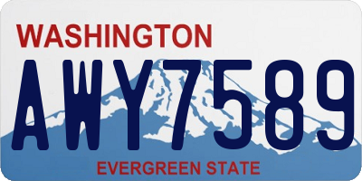 WA license plate AWY7589