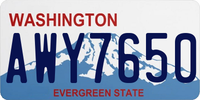 WA license plate AWY7650