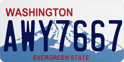 WA license plate AWY7667