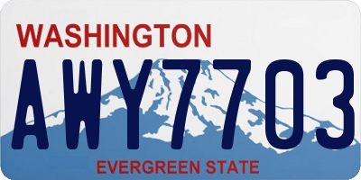 WA license plate AWY7703
