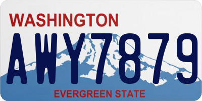 WA license plate AWY7879