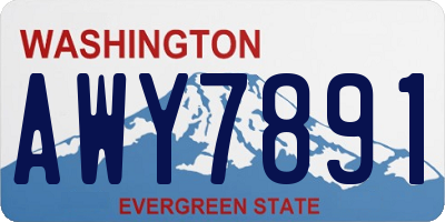 WA license plate AWY7891