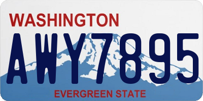 WA license plate AWY7895
