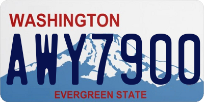 WA license plate AWY7900