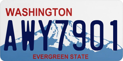 WA license plate AWY7901