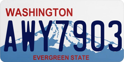 WA license plate AWY7903