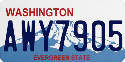 WA license plate AWY7905