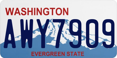 WA license plate AWY7909