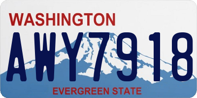 WA license plate AWY7918