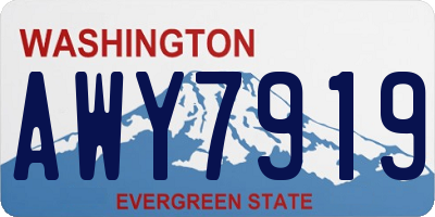 WA license plate AWY7919