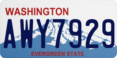 WA license plate AWY7929