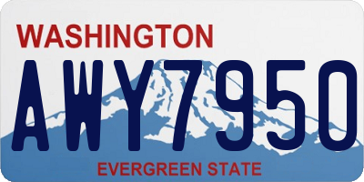 WA license plate AWY7950