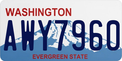 WA license plate AWY7960