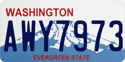 WA license plate AWY7973