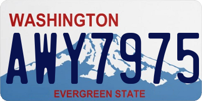 WA license plate AWY7975