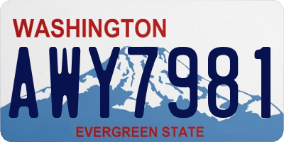 WA license plate AWY7981