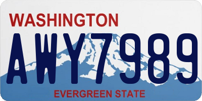 WA license plate AWY7989