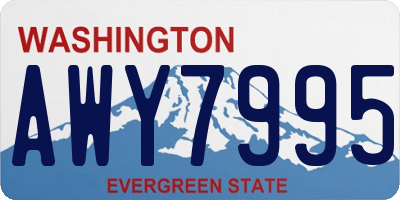 WA license plate AWY7995