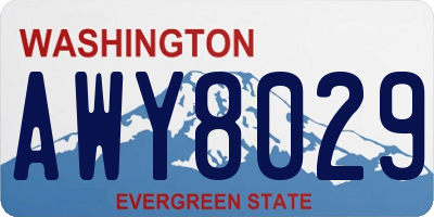 WA license plate AWY8029