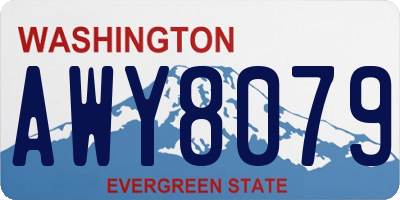 WA license plate AWY8079