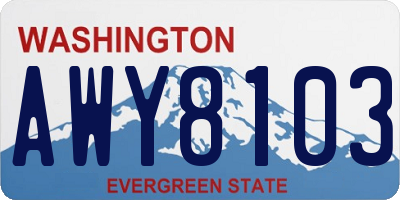 WA license plate AWY8103