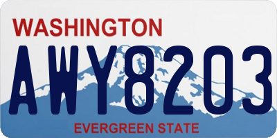 WA license plate AWY8203