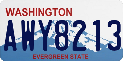 WA license plate AWY8213