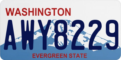 WA license plate AWY8229