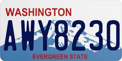 WA license plate AWY8230