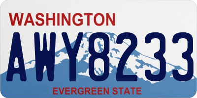 WA license plate AWY8233