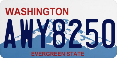 WA license plate AWY8250