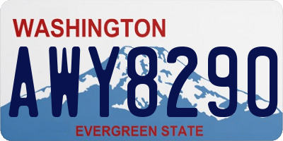 WA license plate AWY8290