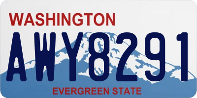 WA license plate AWY8291