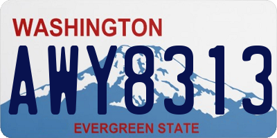 WA license plate AWY8313