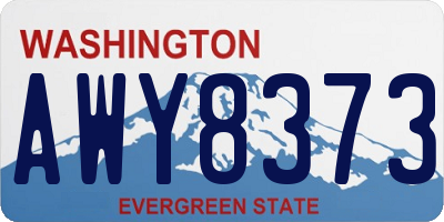 WA license plate AWY8373
