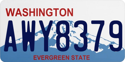 WA license plate AWY8379