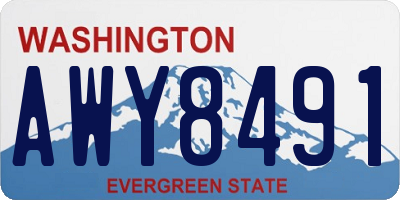 WA license plate AWY8491