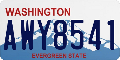 WA license plate AWY8541