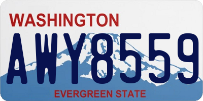 WA license plate AWY8559