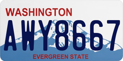 WA license plate AWY8667
