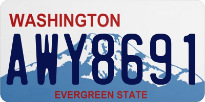 WA license plate AWY8691