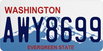 WA license plate AWY8699