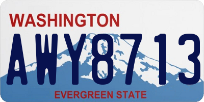 WA license plate AWY8713
