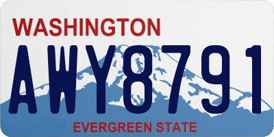 WA license plate AWY8791