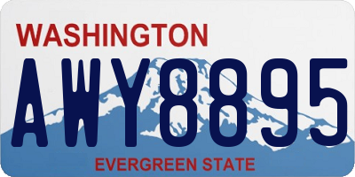 WA license plate AWY8895