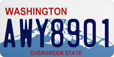 WA license plate AWY8901