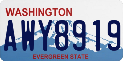 WA license plate AWY8919