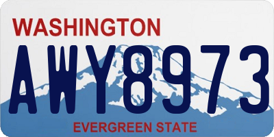 WA license plate AWY8973