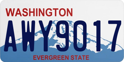 WA license plate AWY9017